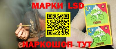 амф Новокубанск