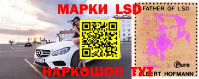 индика Новозыбков