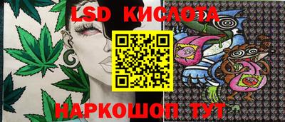 амф Новокубанск
