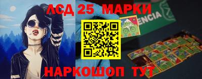 индика Новозыбков