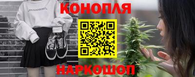 индика Новозыбков