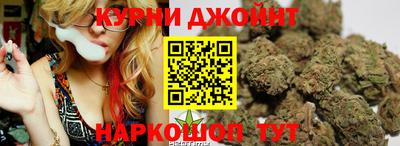 индика Новозыбков