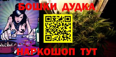 индика Новозыбков
