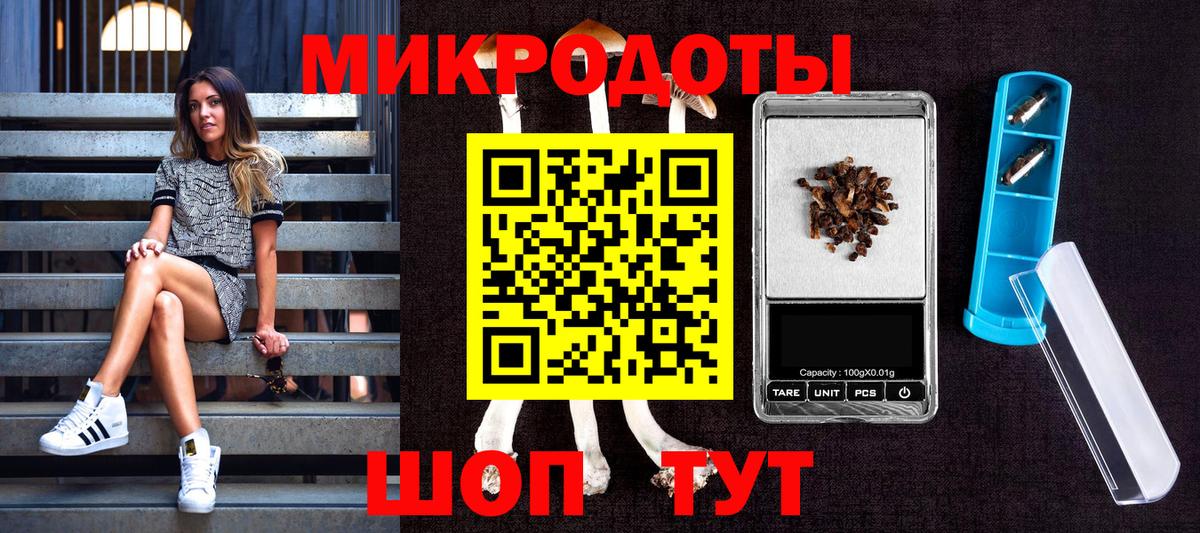 Псилоцибиновые грибы Cubensis Советск