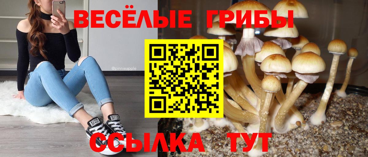 Советск  Псилоцибиновые грибы Magic Shrooms  Вход с VPN 